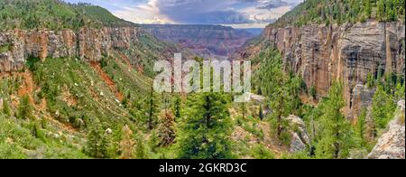 Bright Angel Canyon visto da Coconino si affaccia lungo il North Kaibab Trail sul Grand Canyon North Rim, Arizona, Stati Uniti d'America, Nord America Foto Stock