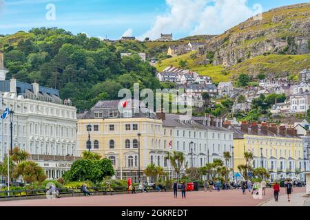 Vista di Llandudno e del Grande Orme sullo sfondo da Promenade, Llandudno, Contea di Conwy, Galles del Nord, Regno Unito, Europa Foto Stock