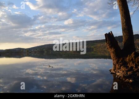 Sonnenuntergang mit wolken und einem baum im wasser gespiegelt am mindelsee bei radolfzell bodensee lago di costanza fotografiert mit der nikond3300 Foto Stock