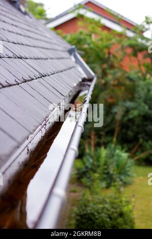 Un ritratto di una grondaia del tetto ostruita piena di acqua piovana durante una giornata piovosa e nuvolosa. Il fondo dello scarico è pieno di foglie e di altra wast naturale Foto Stock
