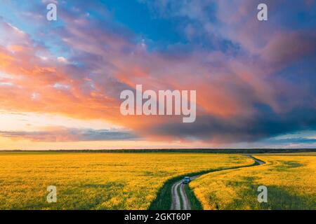 Vista aerea di Auto SUV parcheggiato vicino a Countryside Road in Spring Field Rural Landscape. Fiore ravizzone in fiore, semi oleosi in campo prato in primavera Foto Stock