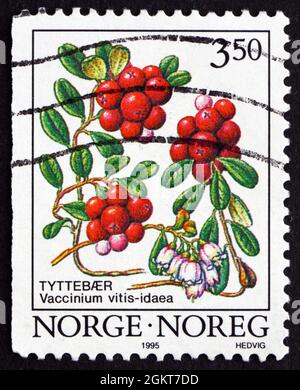 NORVEGIA - CIRCA 1995: Un francobollo stampato in Norvegia mostra Cowberry, Vaccinium Vitis-idaea, arbusto Evergreen con frutta commestibile, circa 1995 Foto Stock