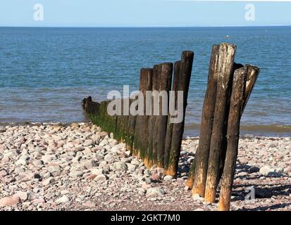 Le vecchie difese del mare di legno sulla costa del Somerset Nord a Porlock Foto Stock