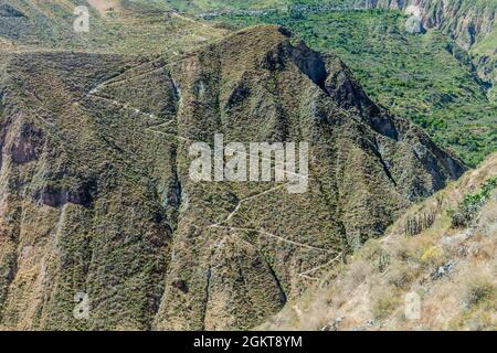 Sentiero che conduce al canyon Colca in Perù Foto Stock