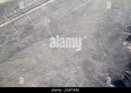 Vista aerea del geoglyphs vicino a Nazca famoso - Linee di Nazca, Perù. Nel centro, Hummingbird figura è presente Foto Stock