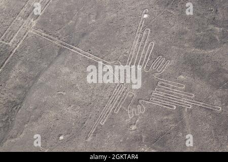 Vista aerea del geoglyphs vicino a Nazca famoso - Linee di Nazca, Perù. Nel centro, Hummingbird figura è presente Foto Stock