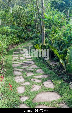 Percorso nel giardino del Museo Leymebamba, Perù settentrionale. Questo museo ospita le mummie trovate a Laguna de los Condores. Foto Stock