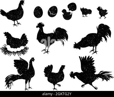 Silhouette di gallo, gallina e pollo per logo ed etichette vintage. Icone di pollame per carne e prodotti a base di uova. Set vettore famiglia uccelli domestici Illustrazione Vettoriale