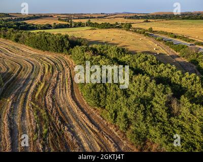 Strada che attraversa i terreni agricoli della Bulgaria orientale Foto Stock