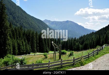 Dal rifugio Messner in Val Casies, vista sulla valle con il Monte Cavallo alto 2163 metri Foto Stock