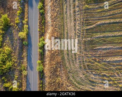 Strada che attraversa i terreni agricoli della Bulgaria orientale Foto Stock