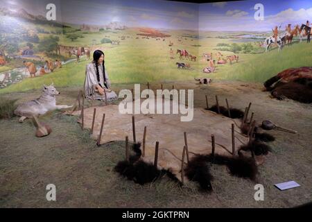 Diorama 'Lakota Buffalo Days' mostra uomini caccia e donne macellaio bufali mostra in Akta Lakota Museum & Culture Center.Chamberlain.South Dakota.USA Foto Stock