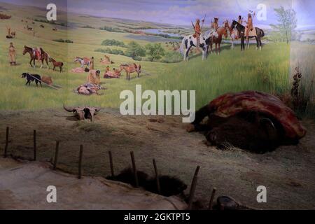 Diorama 'Lakota Buffalo Days' mostra uomini caccia e donne macellaio bufali mostra in Akta Lakota Museum & Culture Center.Chamberlain.South Dakota.USA Foto Stock