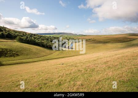 Pecora grassato rinforzando terrick / pendio a Grimwith serbatoio (Yorkshire acqua) e la via d'acqua di seguito lungo la valle. Foto Stock