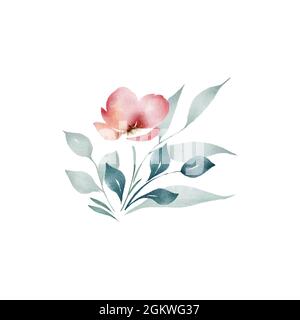 Delicato bouquet floreale 2. Digitale in stile acquerello. Fiori di papavero con delicato verde ed eucalipto Foto Stock