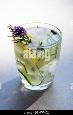 Gin e tonico con cetriolo, bacche di ginepro e rosmarino Foto Stock