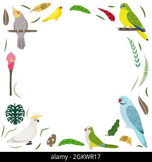 Modello di cornice con uccelli esotici cartoni animati. Composizione rettangolare tropicale con cockatoo, cockatiel, kakarike e pappagalli neofemi. Design per bambini asilo. Illustrazione Vettoriale
