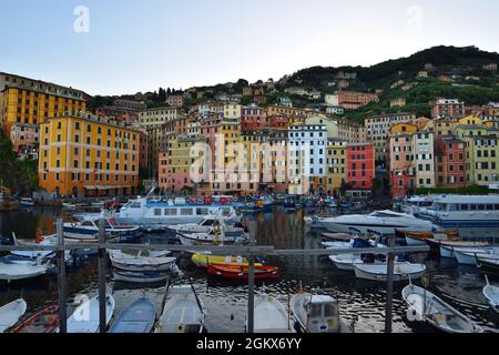 Suggestiva vista delle caratteristiche case colorate di Camogli Foto Stock