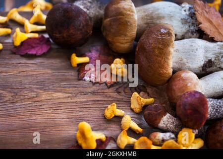 Funghi selvatici freschi non cotti (chanterelle, boleto e porcini) su tavola di legno, vista dall'alto Foto Stock