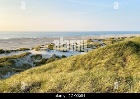 Dune e spiaggia sulla costa danese del Mare del Nord Foto Stock