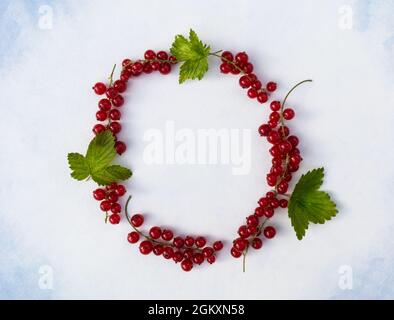 Le bacche di ribes rosso fresco sono disposte in un cerchio su uno sfondo bianco con un posto per il vostro testo. Poster. Foto Stock