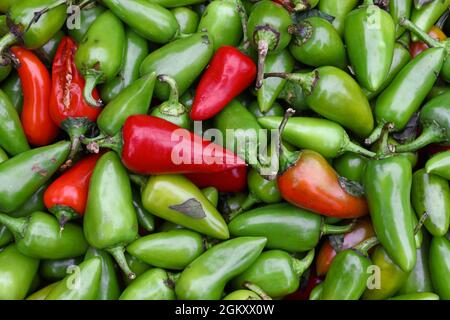 Primo piano su mucchio di peperoncini jalapeno freschi verdi e rossi caldi in esposizione al dettaglio al mercato agricolo, vista dall'alto elevata, direttamente sopra Foto Stock