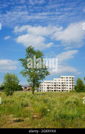 POZNAN, POLONIA - 09 lug 2017: Un campo di erbacce verdi e un albero con un moderno edificio di appartamenti sullo sfondo nel parco Rataje Foto Stock