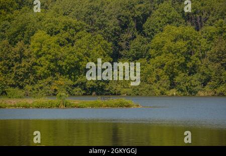 Il paesaggio dello Shabbona Lake state Park nella contea di Dekalb, Illinois Foto Stock