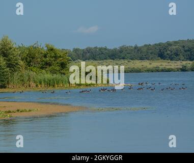 Il paesaggio dello Shabbona Lake state Park nella contea di Dekalb, Illinois Foto Stock