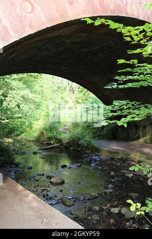 Rosemarkie & Fortrose Fata Glen Forest / cascata. Foto Stock