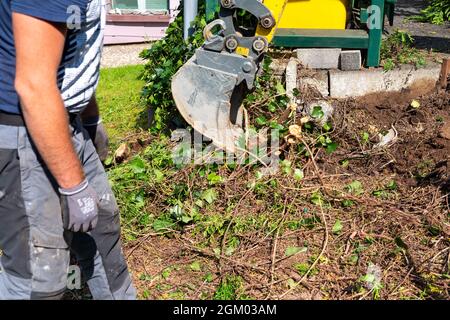 Scavando fuori dal tronco e dalle radici con mini escavatore. Rimozione del moncone dell'albero Foto Stock