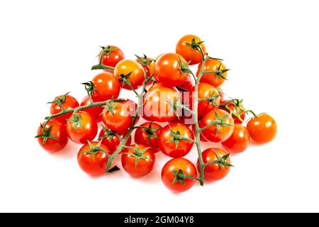 primo piano di un mazzetto di pomodori ciliegini maturi con i loro rami verdi legnosi su sfondo bianco Foto Stock