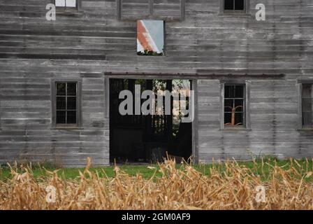 Barn decadente - Skagit Valley, Washington Foto Stock