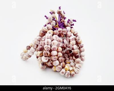 Braccialetto in legno su fondo bianco isolato Foto Stock