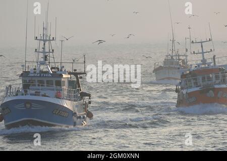 FRANCIA. FINISTERE (29) LE GUILVINEC. PORTO DI PESCA. INDIETRO DALLA PESCA (FOTO NON DISPONIBILE PER CALENDARIO O CARTOLINA) Foto Stock
