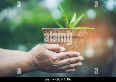 Donna asiatica che tiene albero in riciclare flowerpot in giardino a casa concetto di salvare la terra e l'ambiente mondo terra giorno Foto Stock