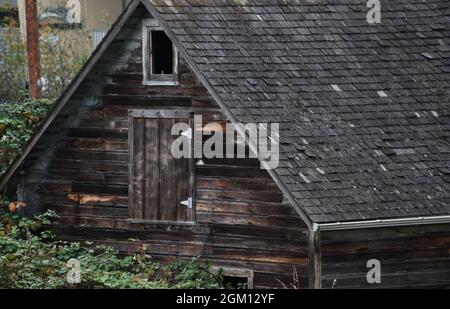 Fienile in decadenza nella valle di Skagit Foto Stock