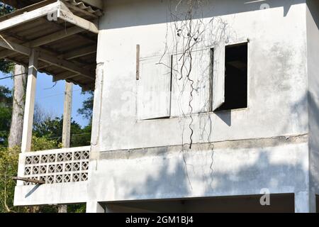 Casa bianca abbandonata con finestre rotte con viti secche Foto Stock