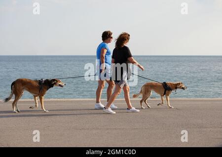 Due donne hanno visto camminare i loro cani lungo il mare. Foto Stock
