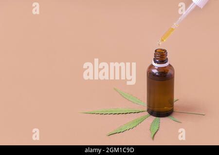 Foglia verde di cannabis medicinale con bottiglia di olio di estratto su sfondo neutro con spazio di copia. Germogli di marijuana medica e germogli di canapa concetto Foto Stock