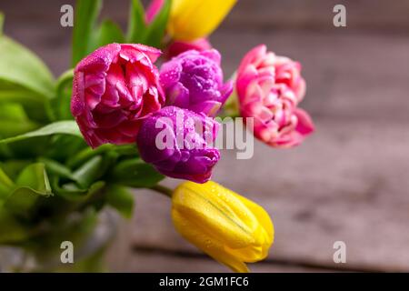 Vaso con mazzi multicolore di tulipani su un tavolo di legno. Tulipano con gocce di rugiada. Messa a fuoco selettiva. Sfondo primaverile. Tulipani con gocce di rugiada Foto Stock