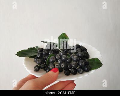 Bacche di chokeberry nero (Aronia) con foglie su un piatto bianco Foto Stock