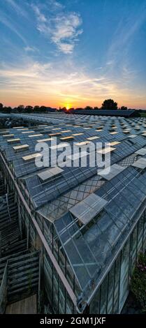 Vista laterale aerea di grandi serre industriali per la coltivazione di piante in autunno. Inquinamento leggero. Giorno d'inverno al tramonto. Volare lungo la moderna piantagione glasshouse area. Coltivando piante ortaggi fiori. Foto di alta qualità Foto Stock