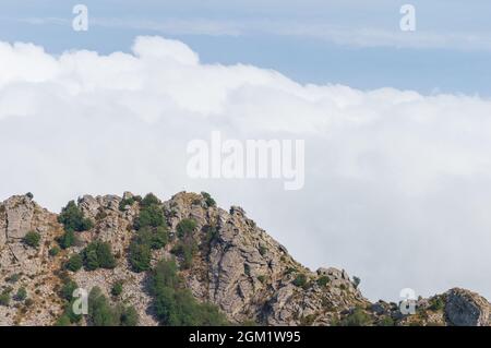 Paesaggio di montagna all'Isola d'Elba nel mediterraneo vicino alla Toscana. Abbiamo preso la funivia fino a Monte Capanne, la vetta più alta dell'isola Foto Stock