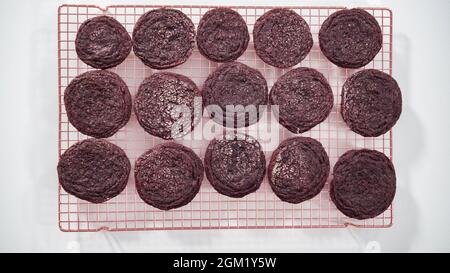 Passo dopo passo. Disposizione piatta. Biscotti al cioccolato appena sfornati su una rastrelliera metallica. Foto Stock