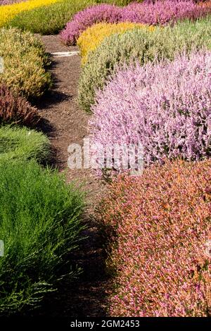 Percorso giardino di calore grazioso Foto Stock