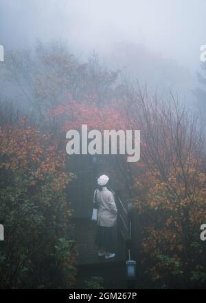 Donna asiatica che indossa cappello e cappotto d'inverno in piedi nella foresta d'acero d'autunno e nebbia al parco nazionale Foto Stock