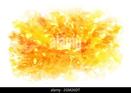 astratto colore giallo autunno, naturale grunge acquerello sfondo texture, illustrazione Foto Stock