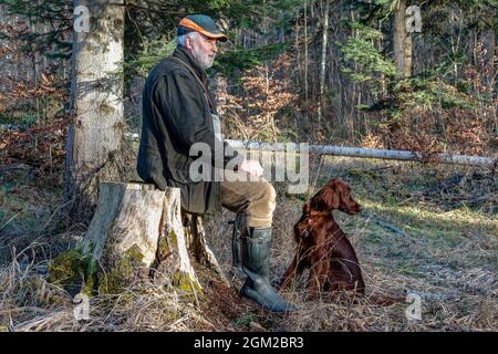 Un uomo anziano con il suo cane irlandese Setter si siede su un moncone e gode i primi giorni di primavera nel mezzo della foresta, dove la natura sta arrivando bac Foto Stock