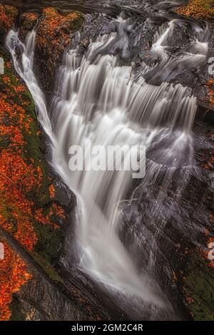 PA Waterfall Dettagli - Vista ravvicinata della cascata circondata dalle colorate foglie autunnali cadute. Questa immagine è disponibile anche in bianco e nero. Foto Stock